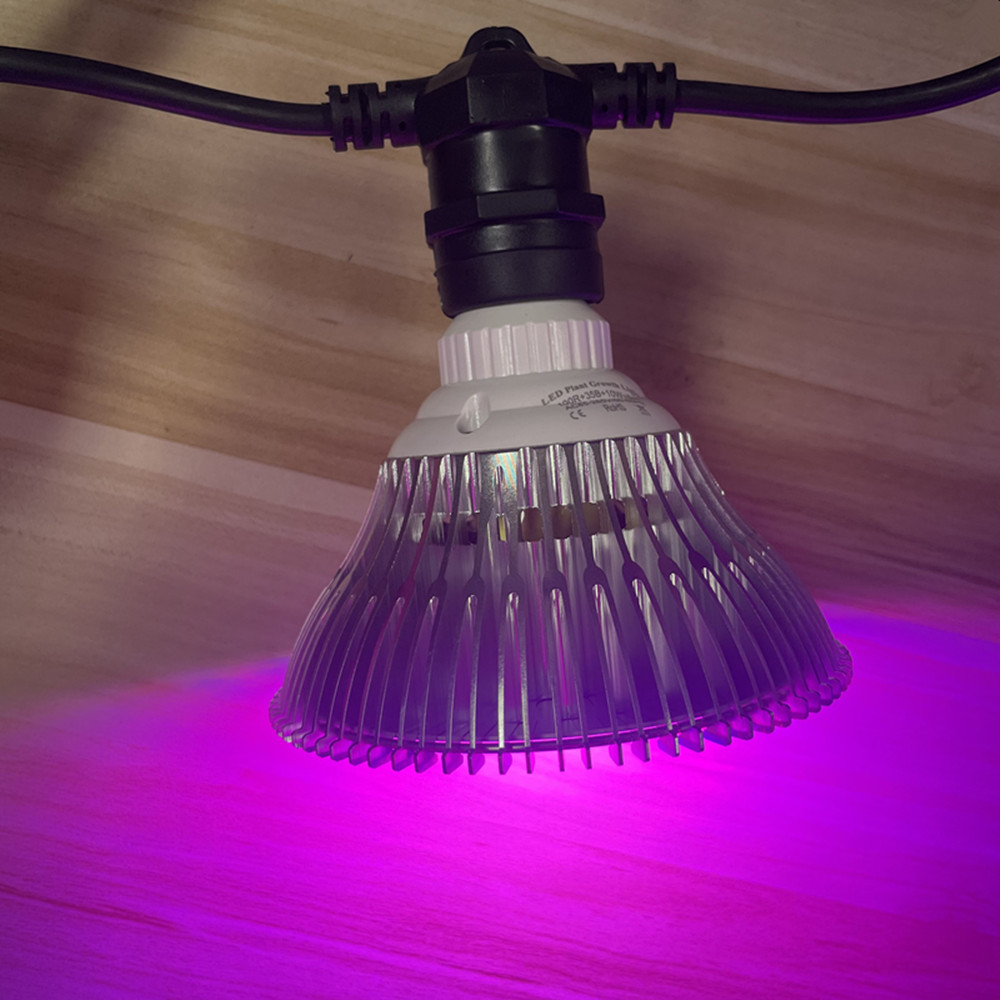 10M Kablo LED Dize Işık Zincir - Outdoor Lighting Sconce incelemesi ve fiyatı