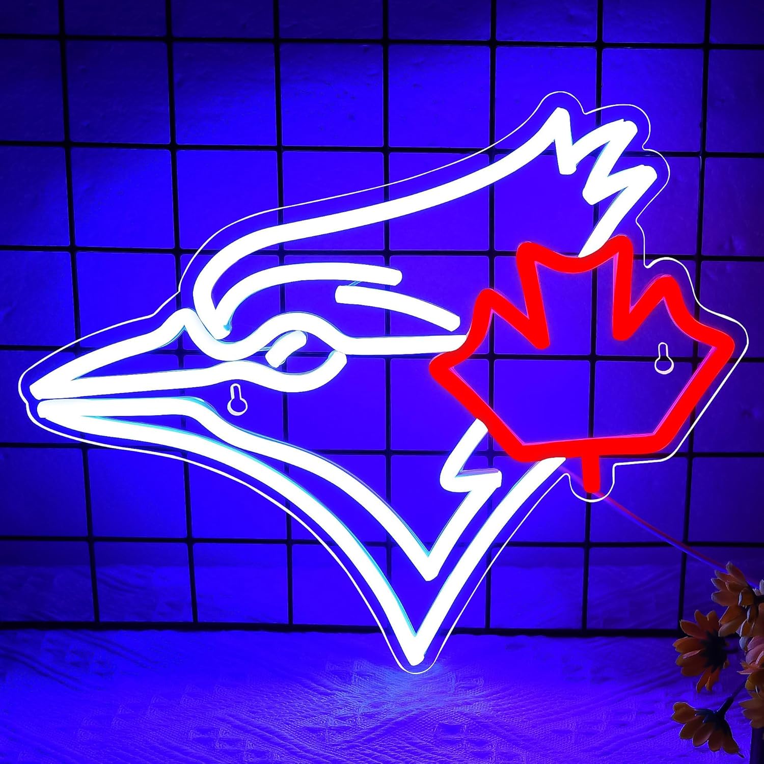 Akçaağaç Yaprağı Neon Işıklı U - Outdoor Lighting Canada incelemesi ve fiyatı